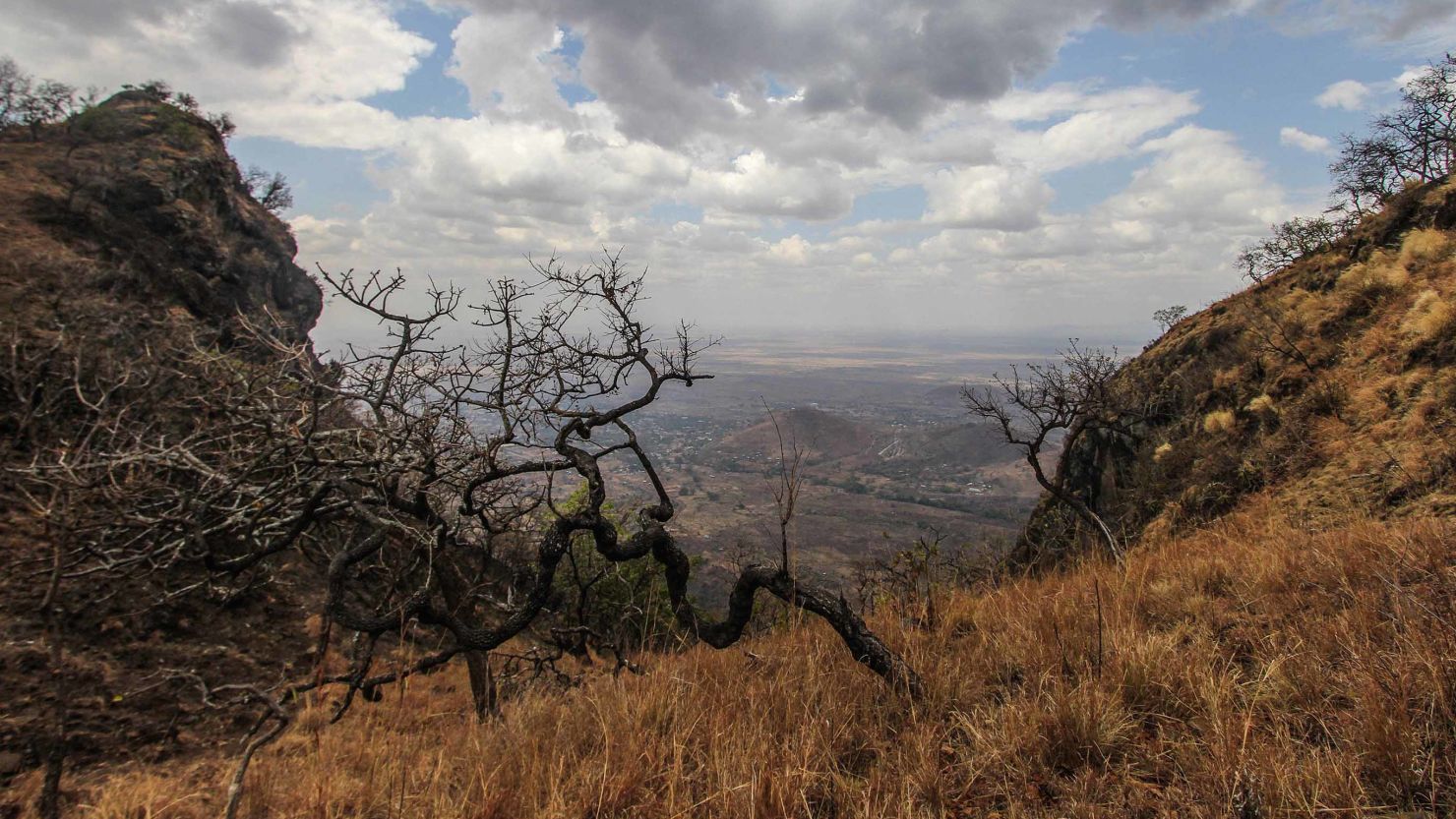 A view overlooking the landscape of Karamoja, Uganda, pictured in February 2017.