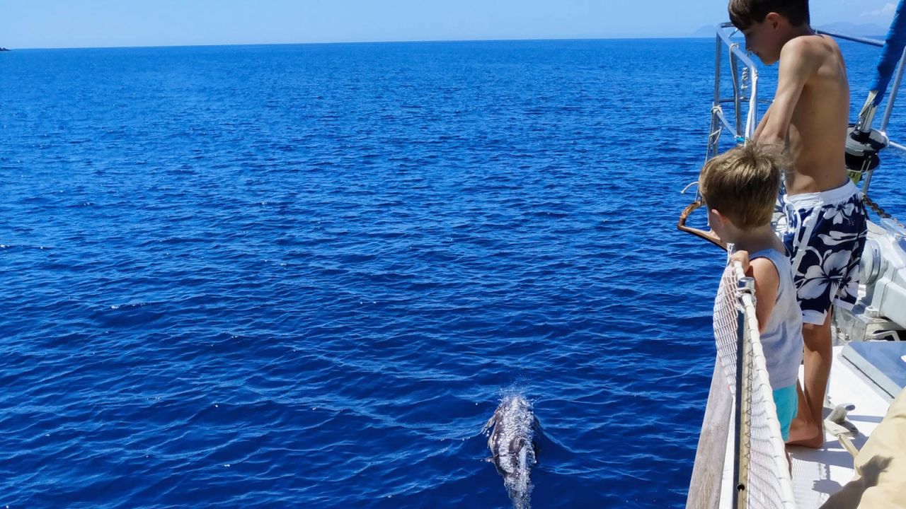 <strong>Covid watch: </strong>Sara Barberis says the family is prepared to adapt plans en route if needed. Once they reach the Canaries they say they'll evaluate the Covid outlook in the Caribbean before crossing the ocean.