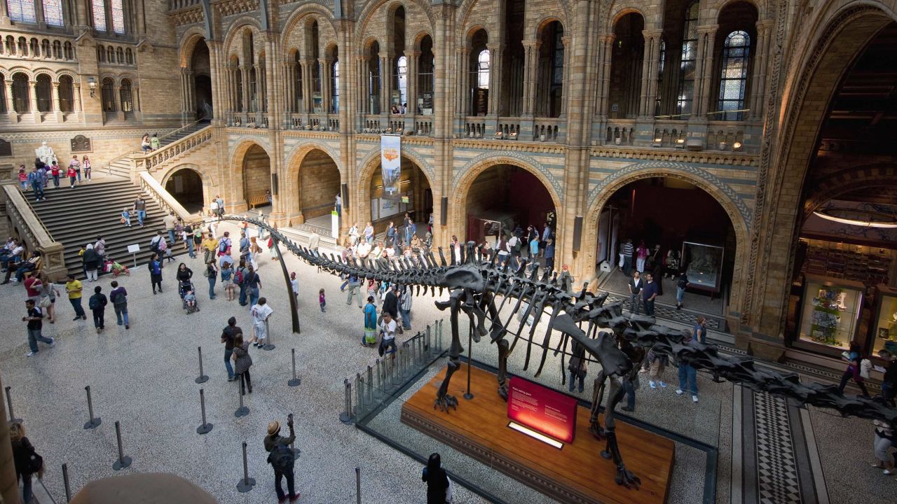 Towering dinosaur skeletons dominate natural history museums but it's tiny fossils, found trapped in amber, that have revolutionized paleontology in recent years.