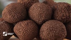 marketplace south africa truffles farmers industry spc_00040012.jpg