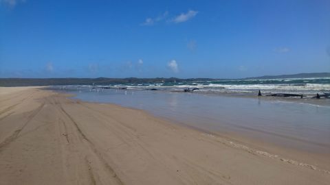 One of the sandbars where the pod of whales washed up in Tasmania, Australia.