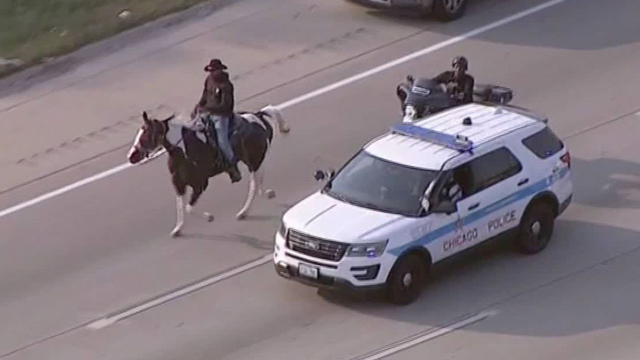 The "Dreadhead Cowboy" is seen on the Dan Ryan Expressway in Chicago.