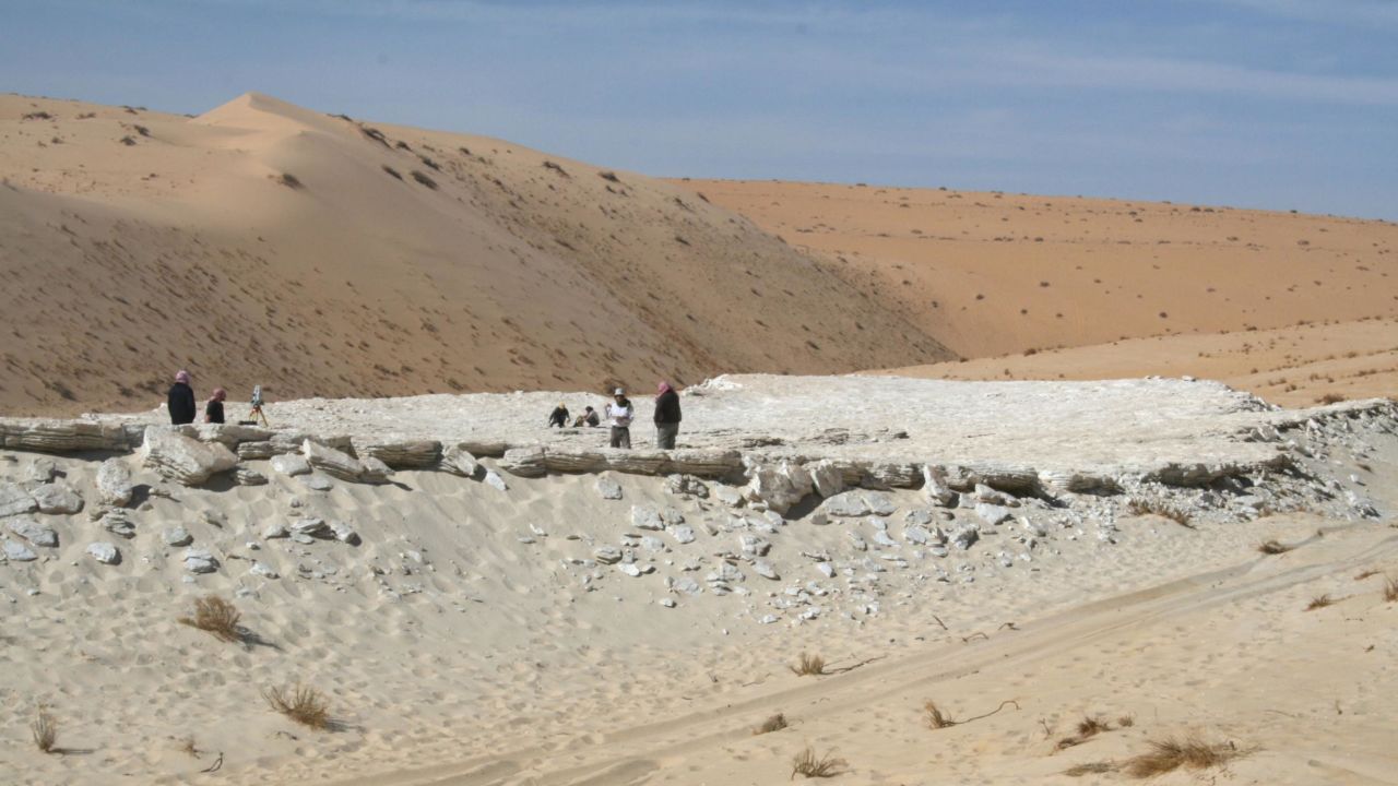 Researchers were surveying the Alathar lake in Saudi Arabia when they made the discovery.