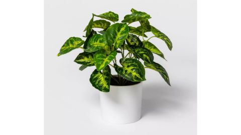 Project 62 Artificial Arrowhead Plant Arrangement in Pot White