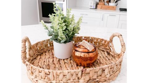 Project 62 Artificial Eucalyptus Plant Arrangement in Pot White