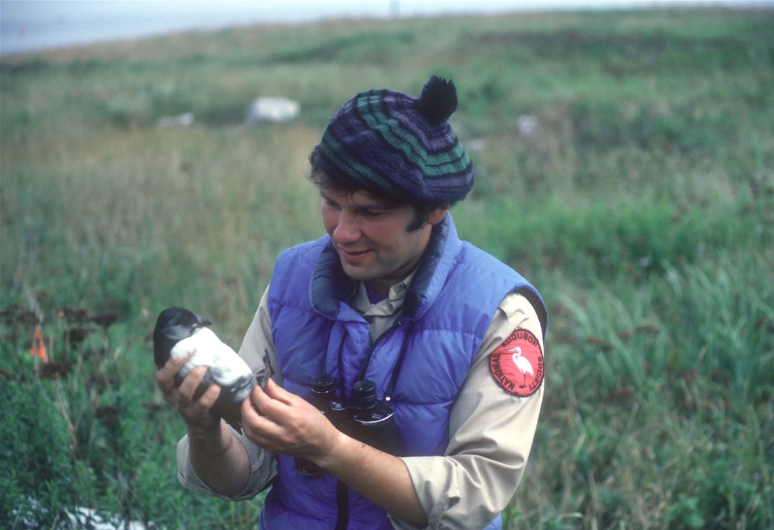 Stephen Kress started hand rearing pufflings in Maine in 1973.