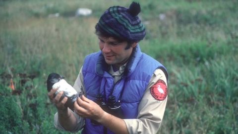 Stephen Kress started hand rearing pufflings in Maine in 1973.