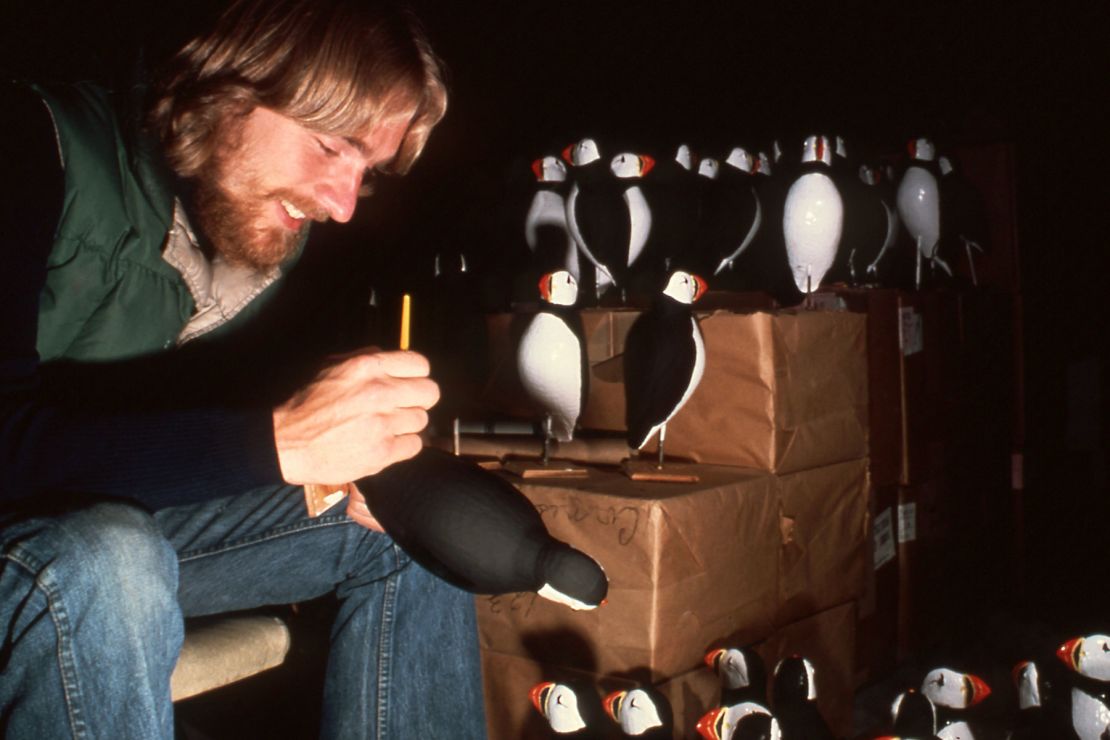Bill Bridgeland, a Project Puffin research assistant, painting puffin decoys in 1977. 