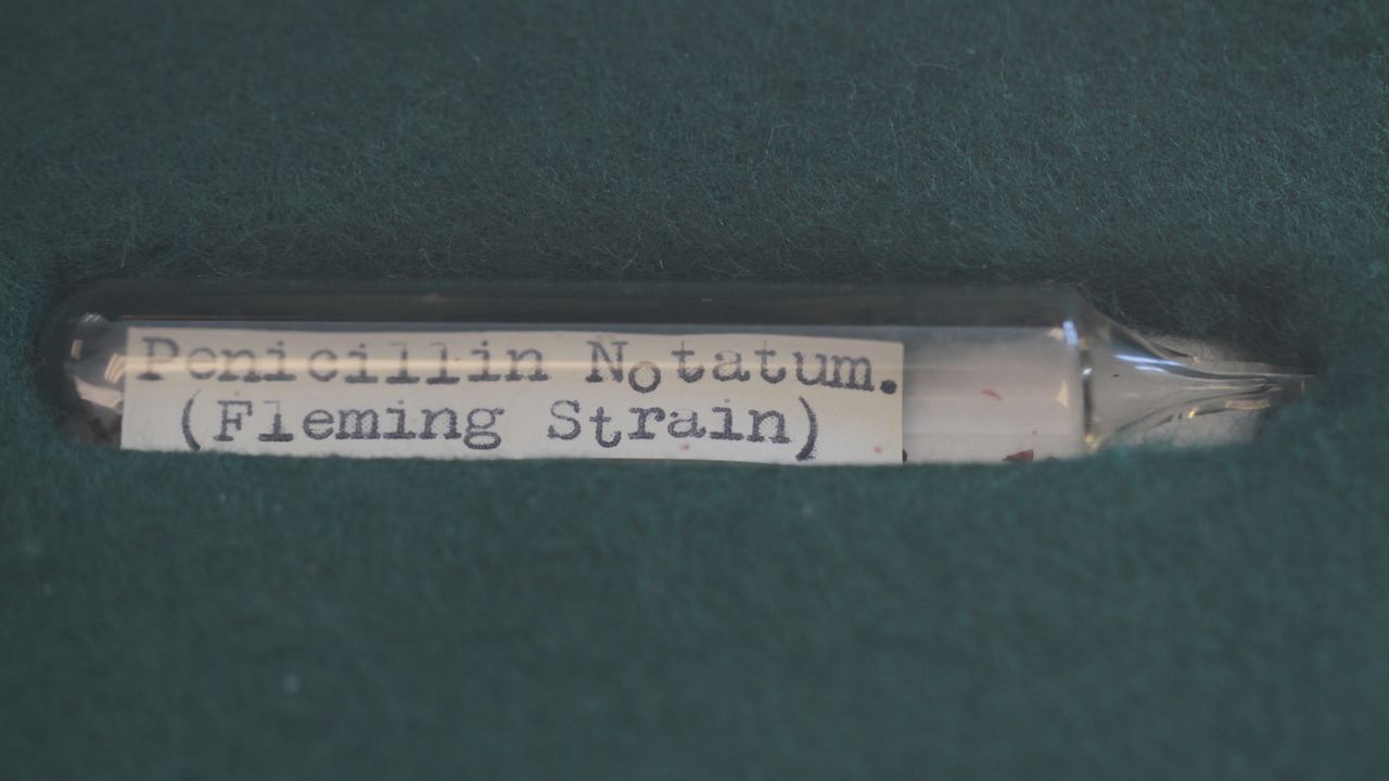 This tube changed medical history.