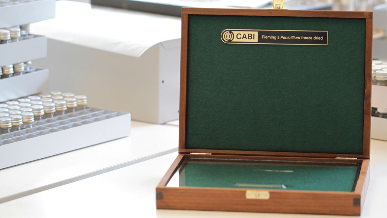 Fleming's original sample is kept in a wooden box.