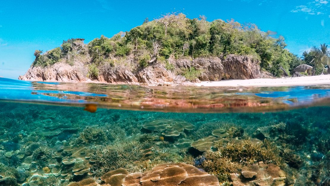 Tao's Paraw Voyage tour includes stops at scenic coves and coral reefs.