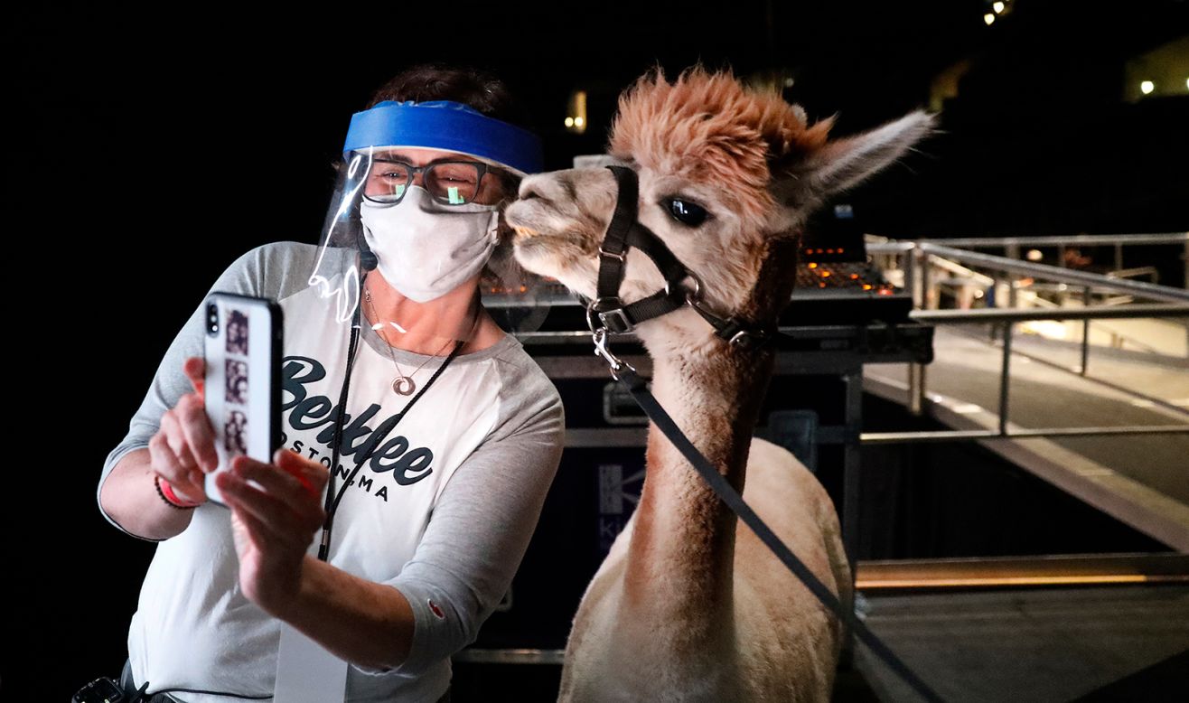Stage manger Lynn Finkel takes a selfie with Isabella the Alpaca during rehearsals for the 72nd Annual Emmy Awards at the Staples Center in Los Angeles on Friday, September 18. 
