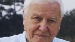 94-year-old naturalist Sir David Attenborough (UK) has debuted on Instagram and claimed the record for the fastest time to reach one million followers on Instagram.