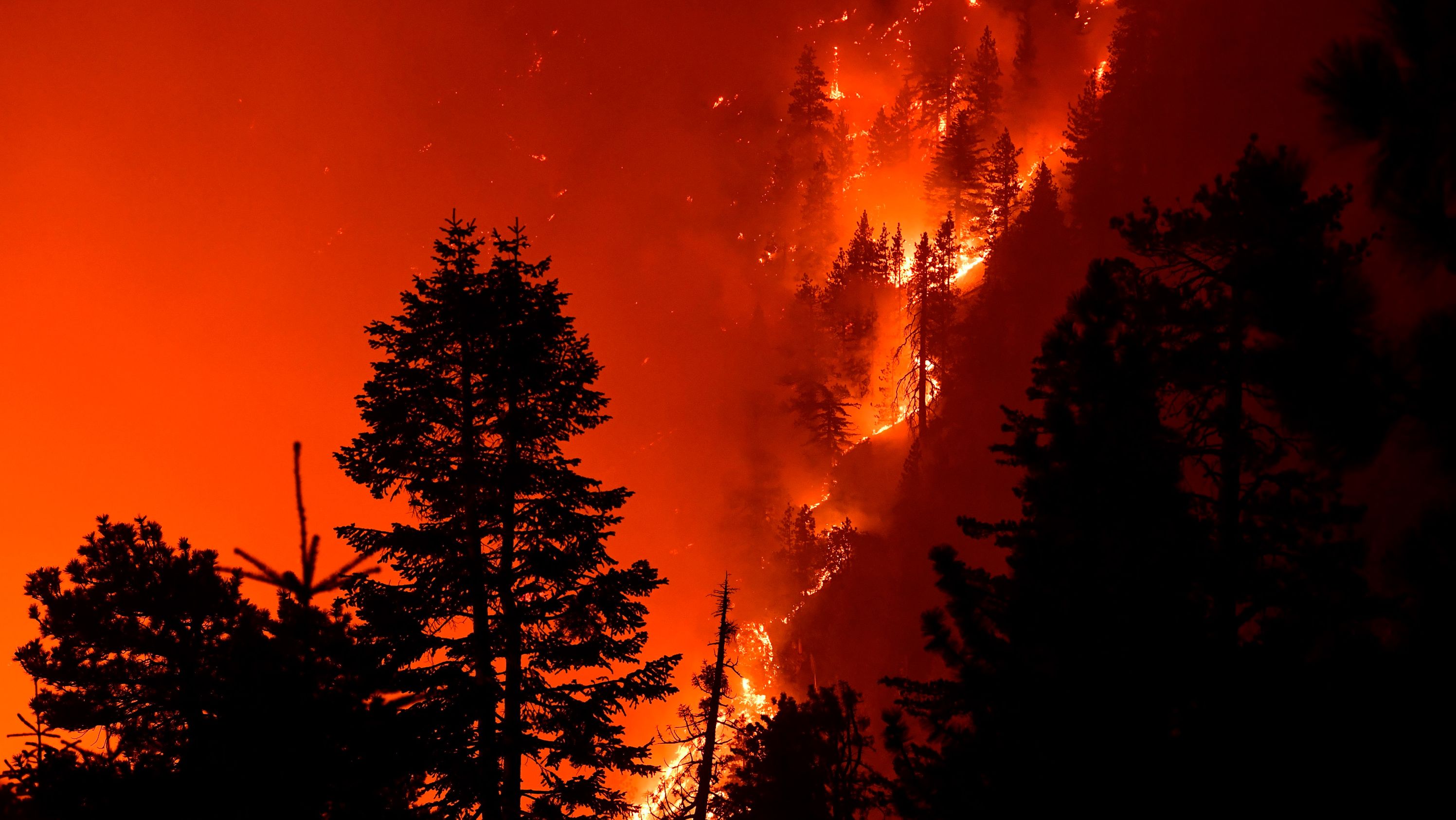 The Bobcat Fire burns near Cedar Springs, California, on September 21, 2020.