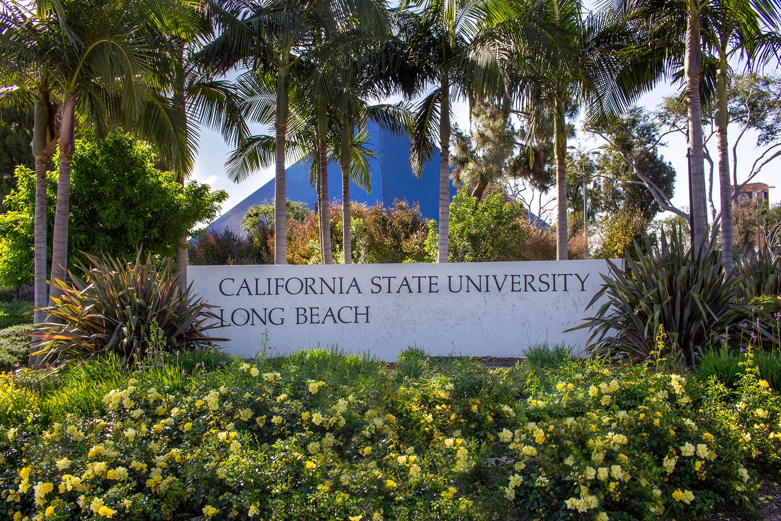 University Of California Long Beach