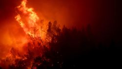 The Glass Fire burns through trees on September 26, 2020 in Napa, California. The fast moving Glass fire has burned over 1,000 acres and prompted evacuations. Much of Northern California is under a red flag warning for high fire danger through Monday evening.