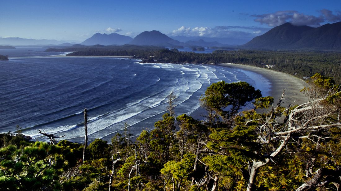 <strong>Back to nature:</strong> Many of Tofino's residents have gravitated to the area because it's one that allows them to live life on their own terms.
