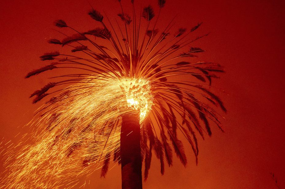 Embers fly from a tree as the Glass Fire burns in St. Helena on September 27, 2020.