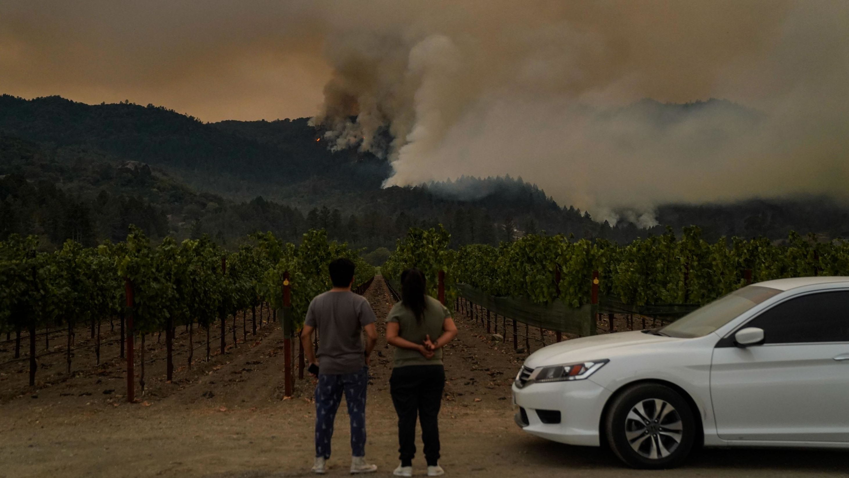 The Glass Fire burns on a Napa County mountainside on September 28, 2020. 