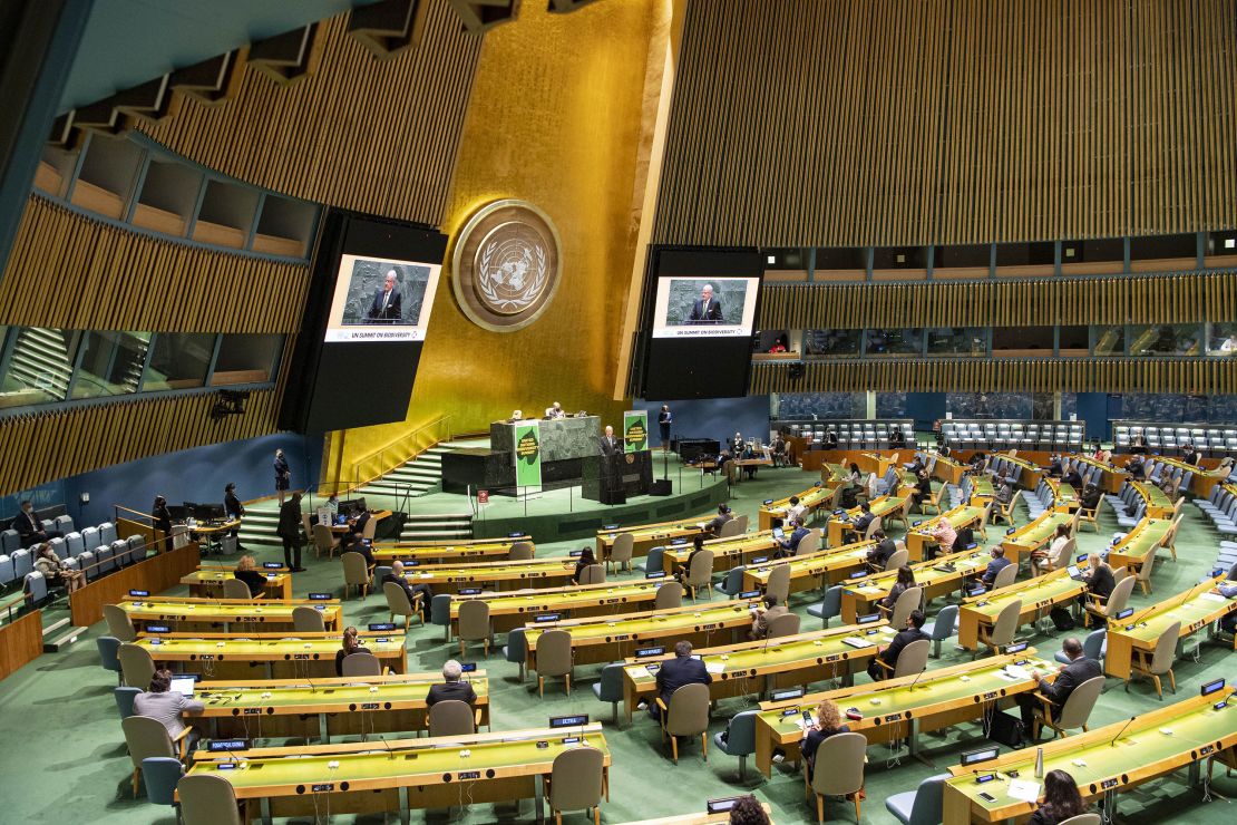 World leaders addressed the UN Biodiversity Summit virtually at the UN headquarters in New York on Wednesday.