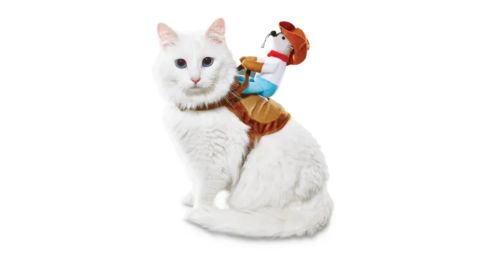 Bootique Cowboy Kitty-Up Cat Costume