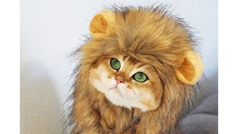 OMG Adorables Cat Lion Mane 