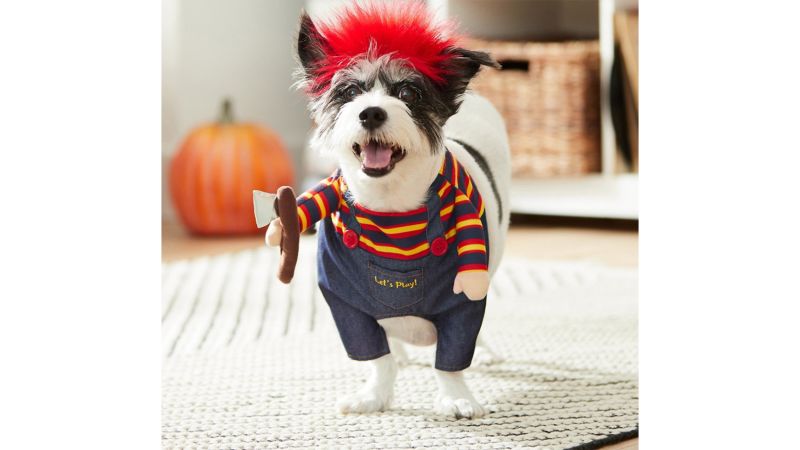 32 best dog Halloween costumes of 2024 CNN Underscored