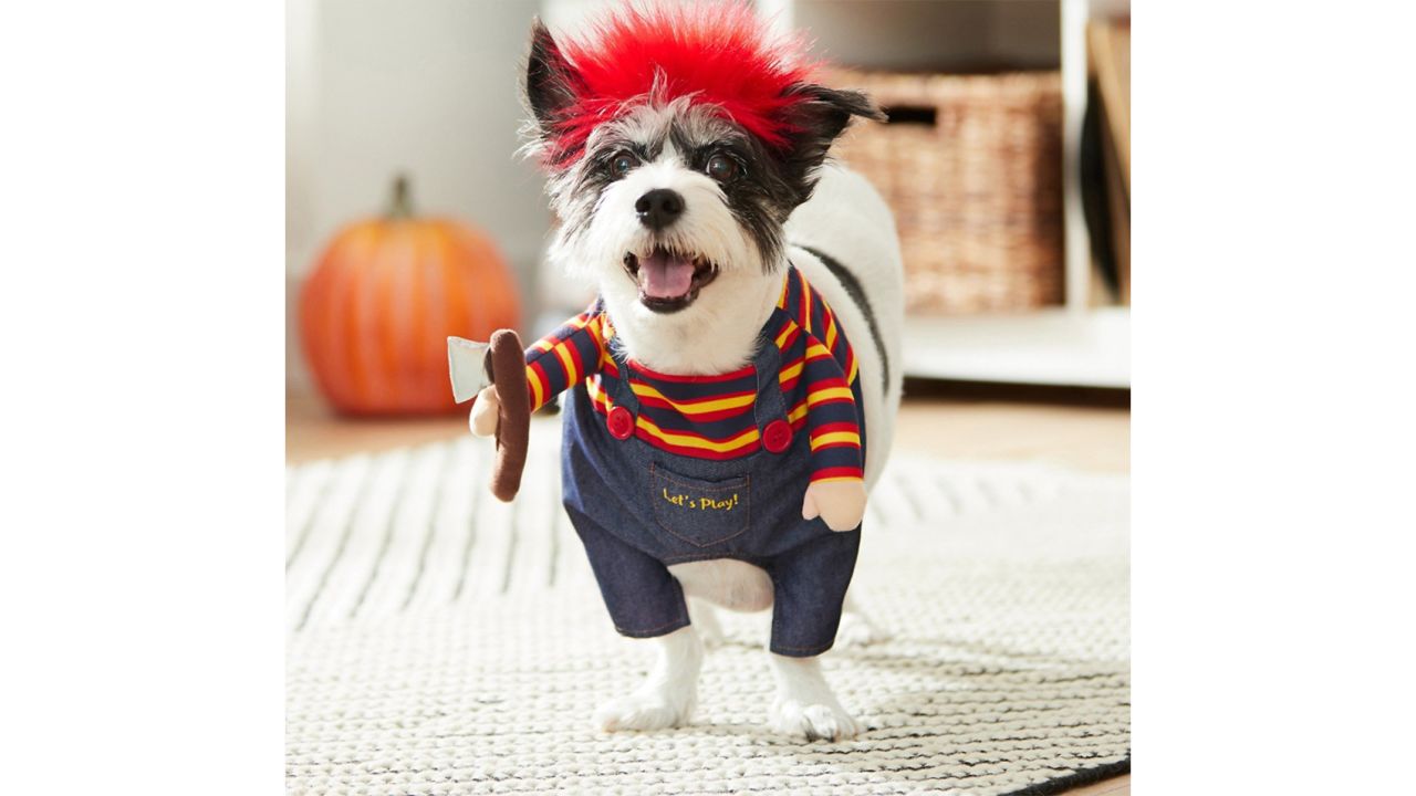 30 best dog Halloween costumes in 2023