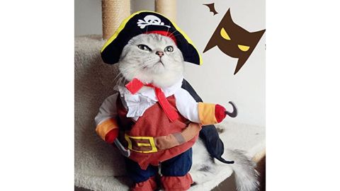 Idepet piratų katės ir šuns kostiumas