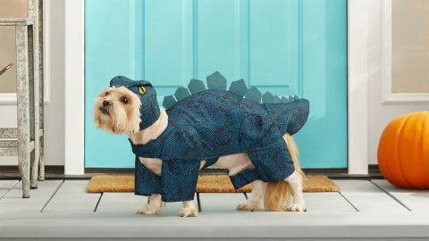 Frisco Stegosaurus dinozaurų šunų ir kačių kostiumas