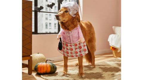 Grandma walking in front of Frisco costume for dogs and cats