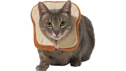 Frisco Bread Cat Costume