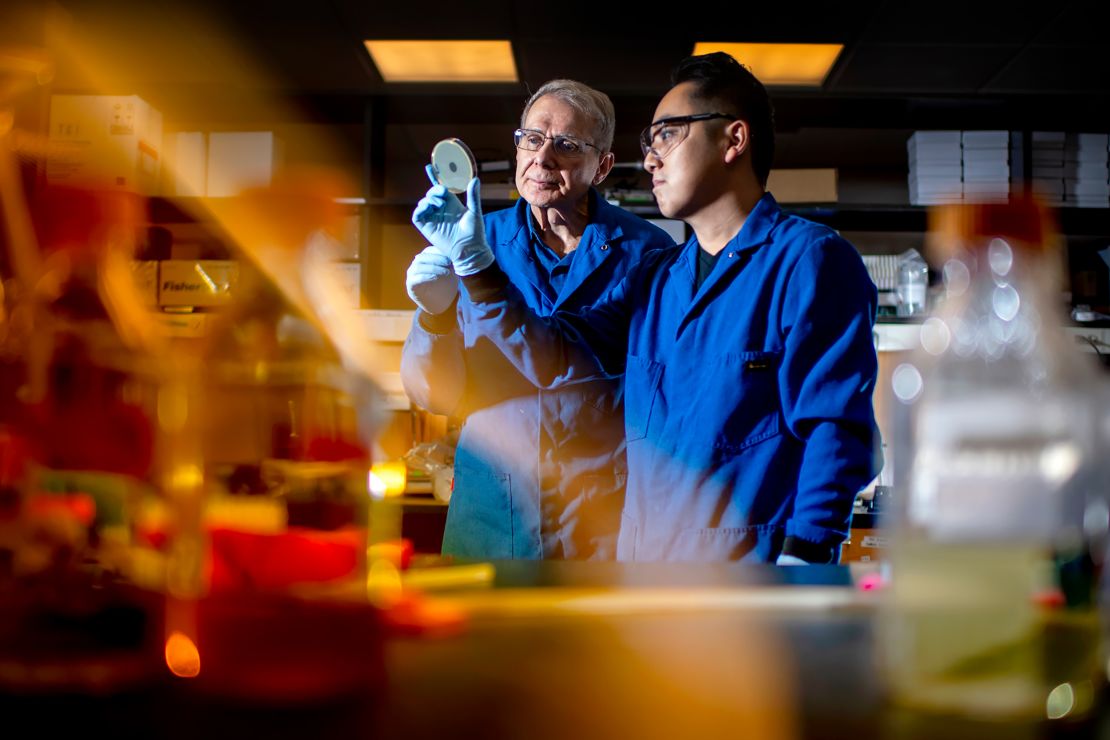 Microbiologist Kim Lewis of Northeastern University and Yu Imai, a postdoctoral research associate, observe a petri dish encasing darobactin, a new type of antibiotic that can selectively kill gram-negative bacteria in October 2019.