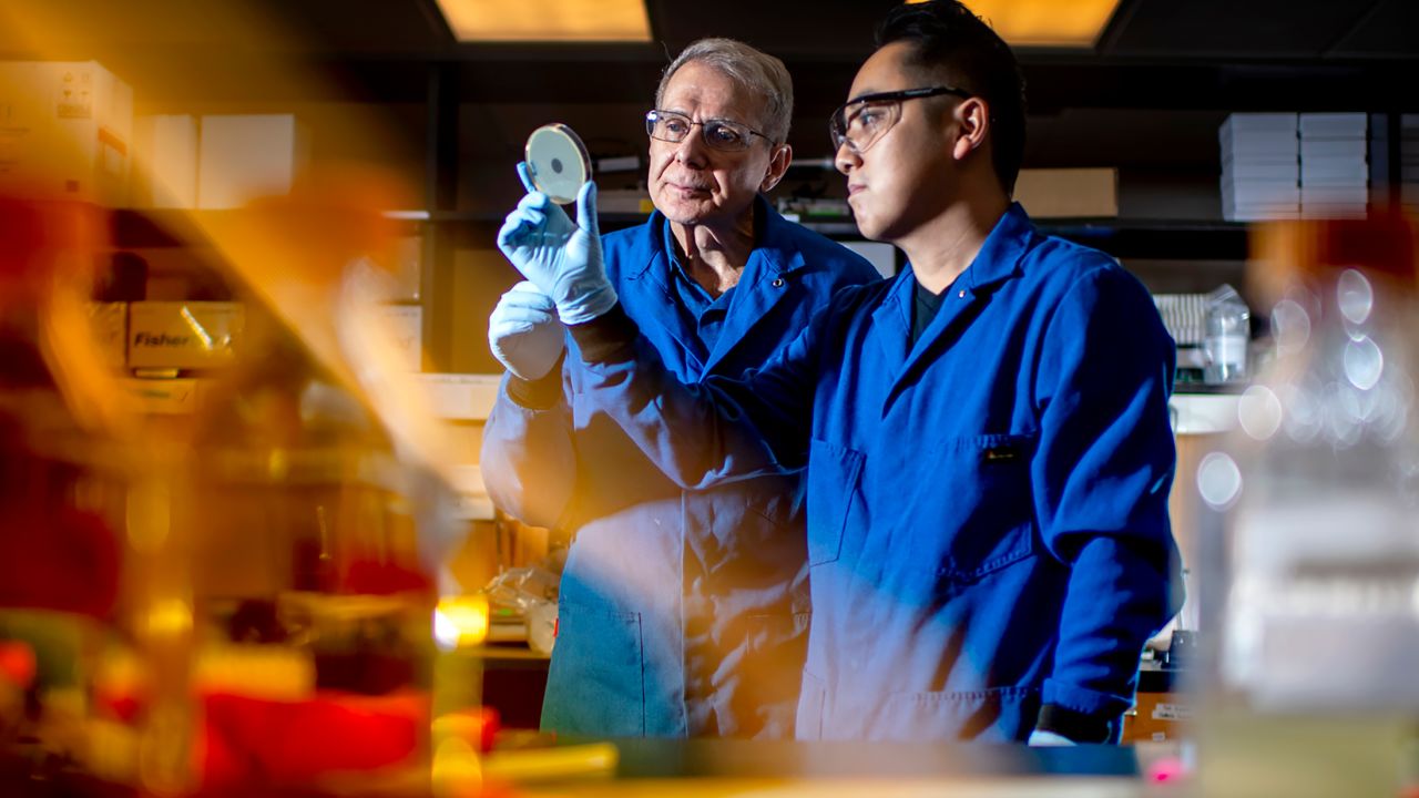 Microbiologist Kim Lewis of Northeastern University and Yu Imai, a postdoctoral research associate, observe a petri dish encasing darobactin, a new type of antibiotic that can selectively kill gram-negative bacteria in October 2019.