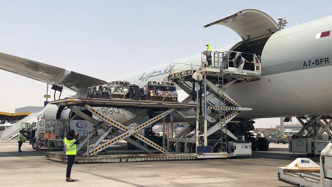 Dogs leave South Korea for the US where they await adoptions.