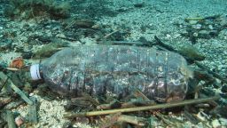 This photo taken on May 1, 2017 shows a discarded plastic bottle in the Port-Cros natural park. - An emblematic fish of the Mediterranean Sea, the Merou, victim of poaching and pollution, with 66 groupers counted during a first counting operation in 2004, more than 320 in 2016 during the last census of the species in the Calanques national park. (Photo by Boris HORVAT / AFP)        (Photo credit should read BORIS HORVAT/AFP via Getty Images)