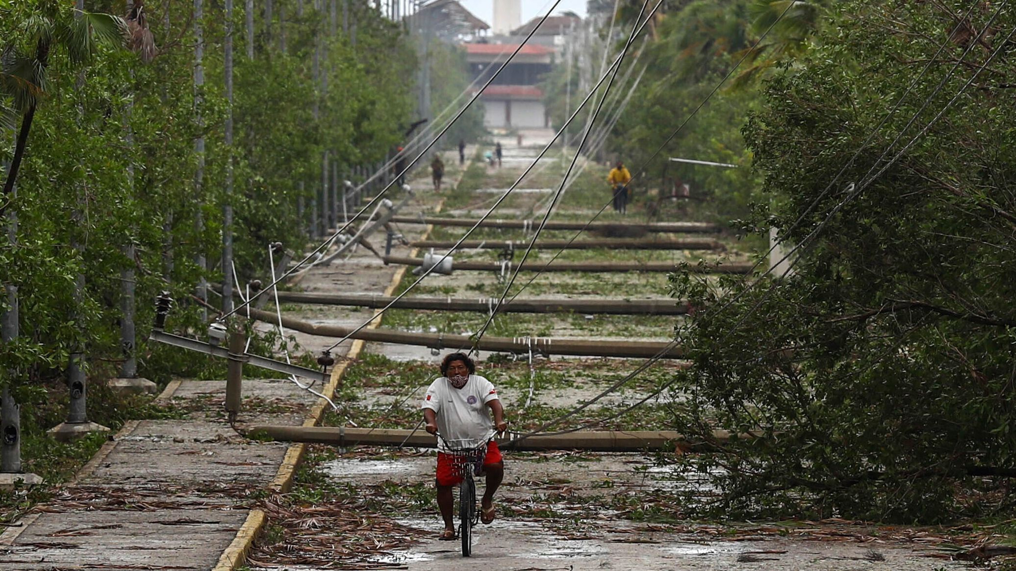 Trees and telephone poles lay on the ground after Hurricane Delta passed through Puerto Morelos on October 7.