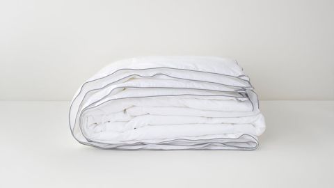 Down Alternative Duvet Insert