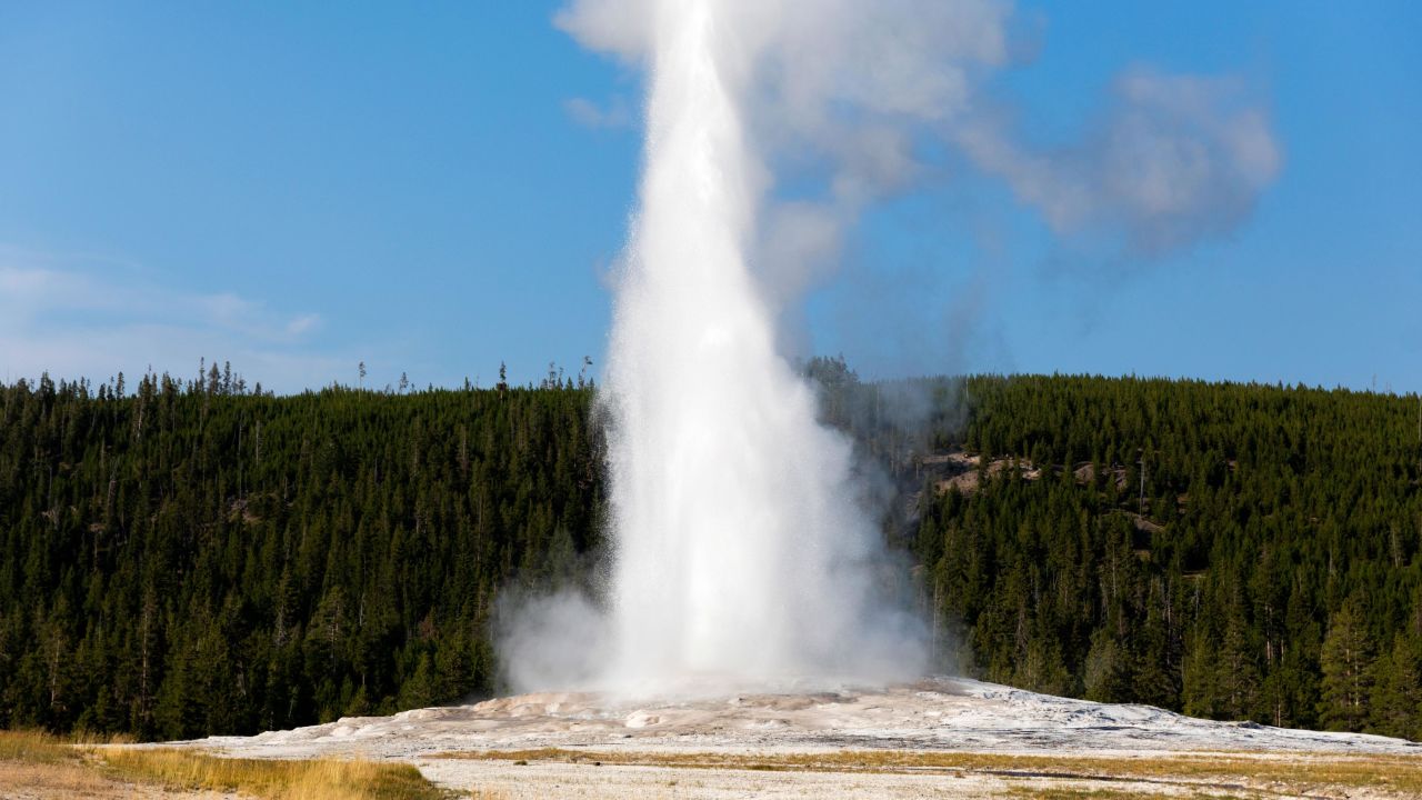 Old Faithful erupts on August 26 in Yellowstone National Park, Wyoming.