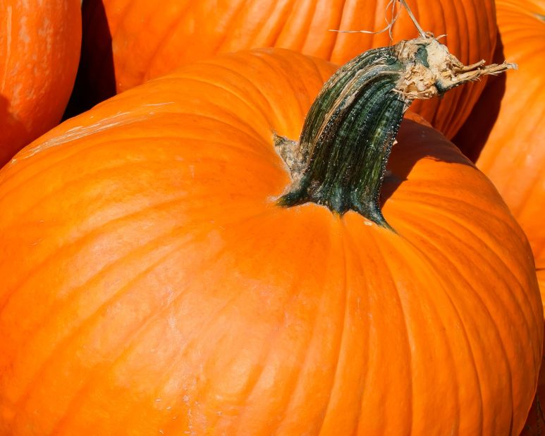 About pumpkins(off topic)