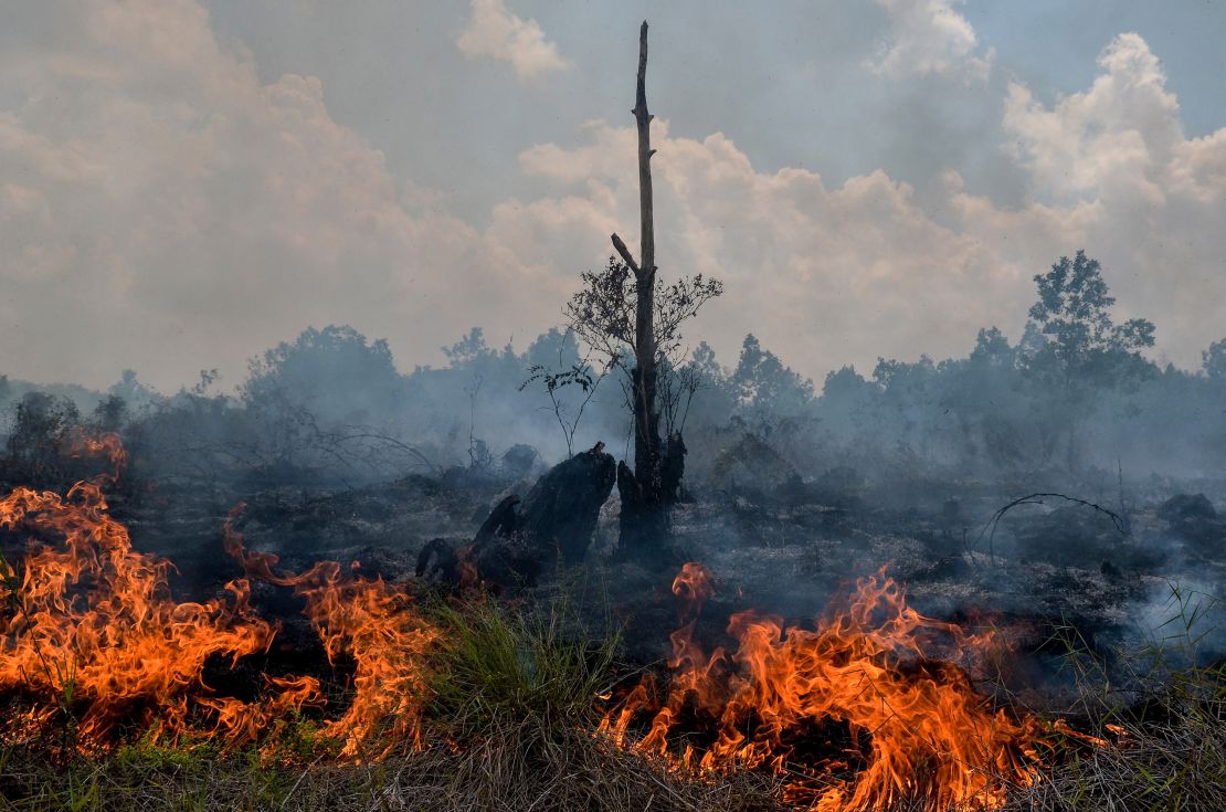 <a href="https://www.cnn.com/interactive/2019/11/asia/borneo-climate-bomb-intl-hnk/">Borneo is burning: How the world's demand for palm oil is driving deforestation in Indonesia</a>
