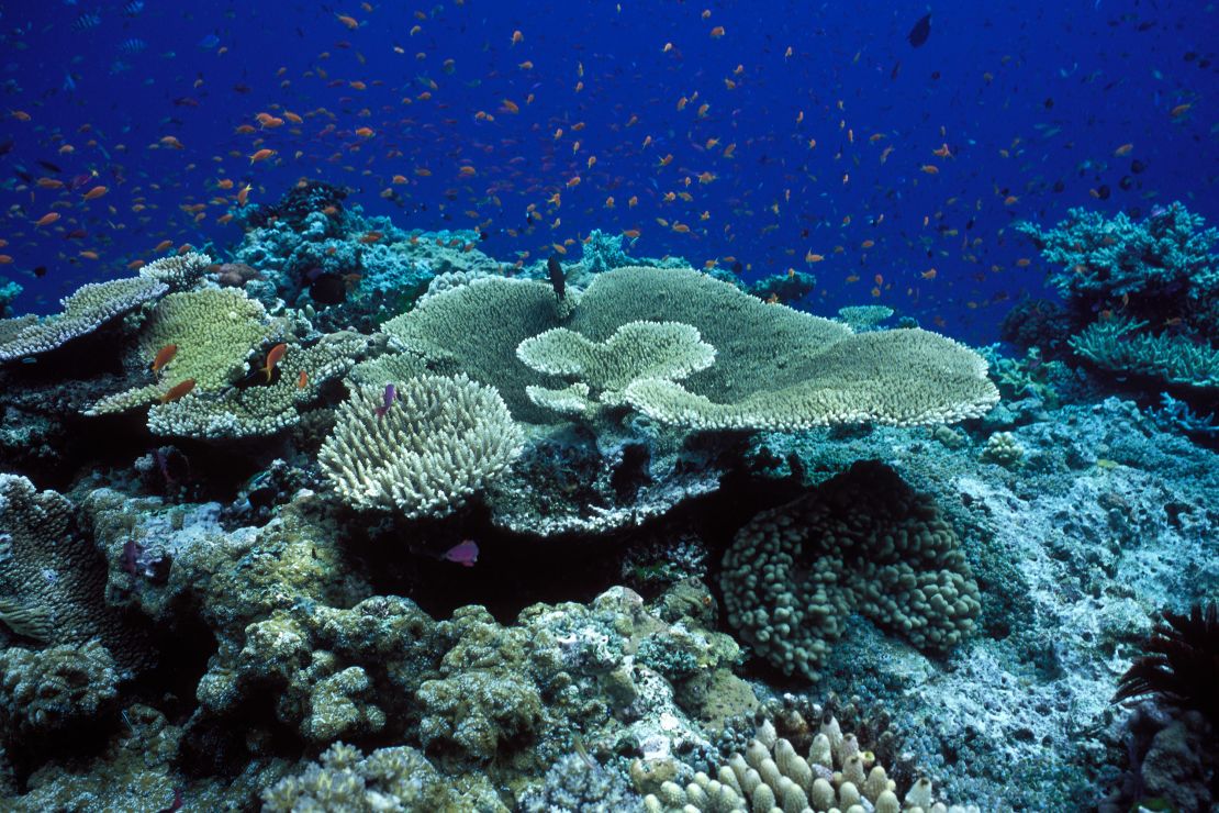 The Great Barrier Reef covers nearly 133,000 square miles.
