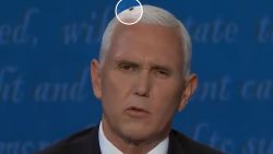 mike pence fly on head