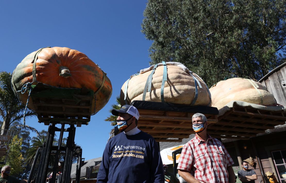 Travis Gienger and Steve Daletas stand next to their large pumpkins during the Safeway World Championship Pumpkin Weigh-Off.