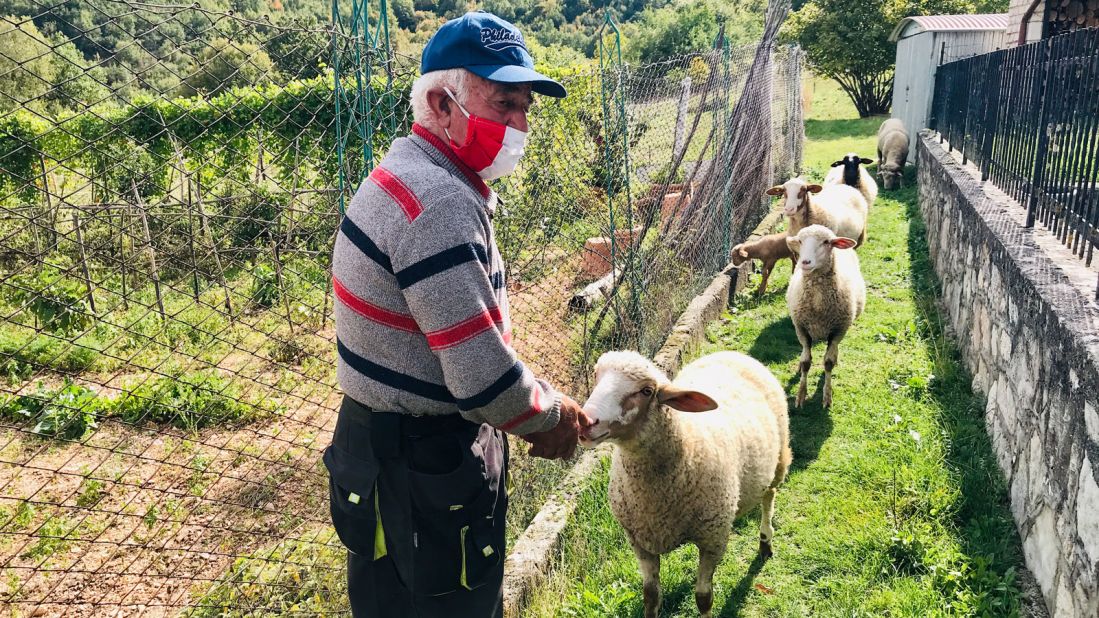 <strong>Four-legged friends: </strong>Other than each other, the pair's only other companions are Carilli's truffle dog and the five sheep he keeps in his backyard.