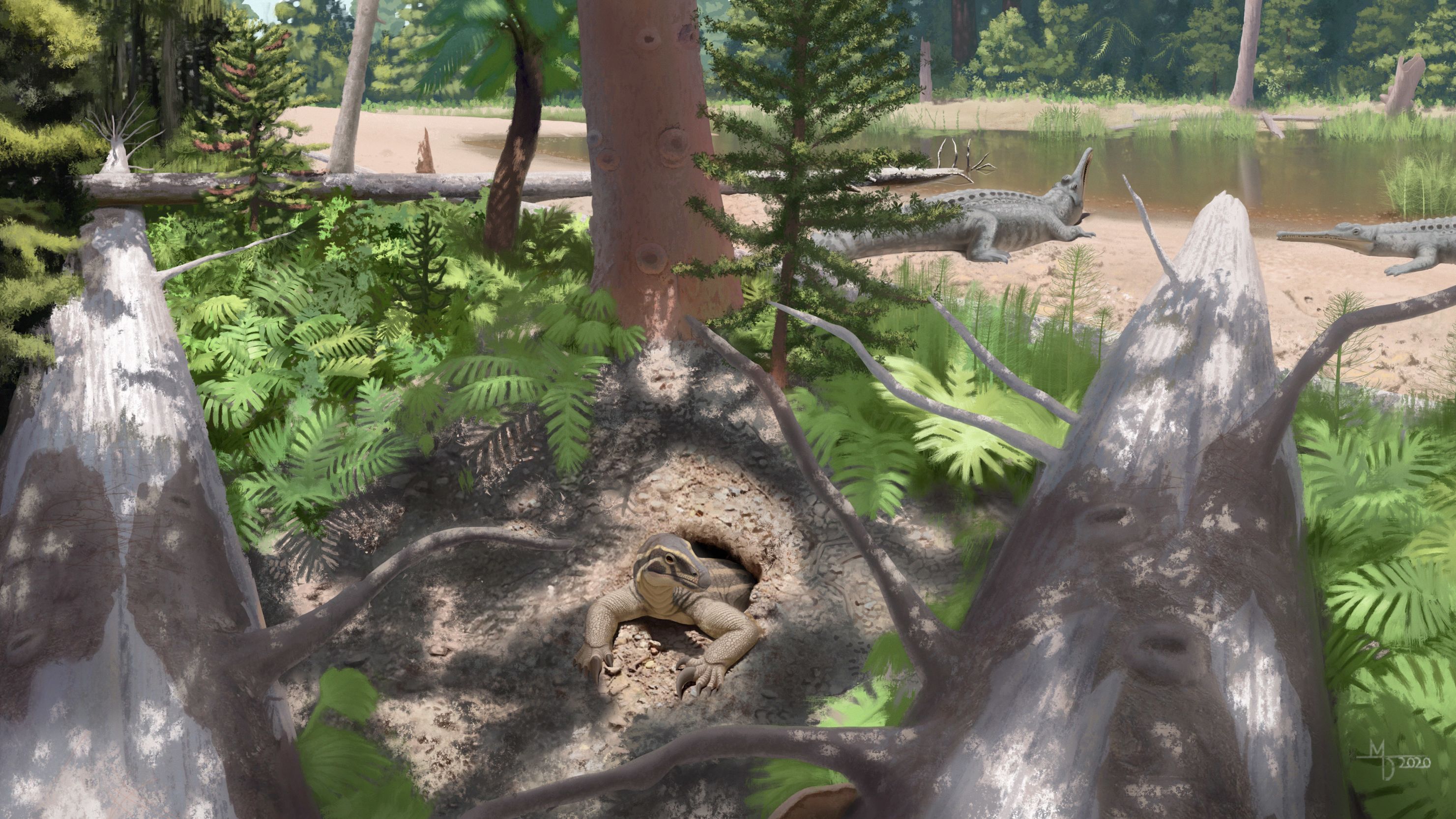 Scientists Baffled: 247 Million Year Old Reptile With Proto Feathers Discovered! - sd19yqt
