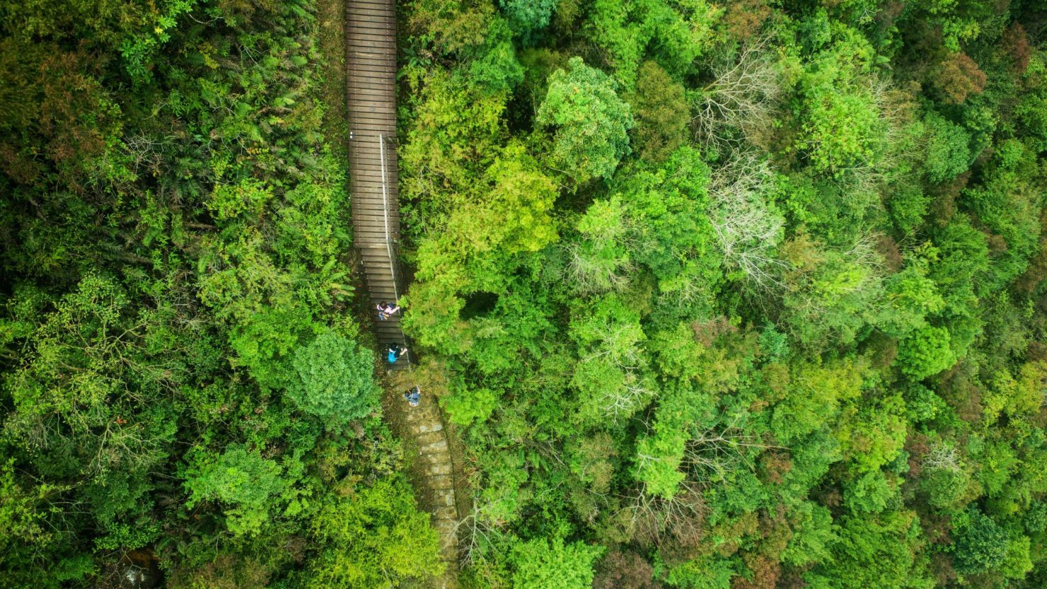 Hikers walk the Ngong Ping 360 Rescue Trail on Hong Kong's outlying Lantau Island on February 23, 2018.