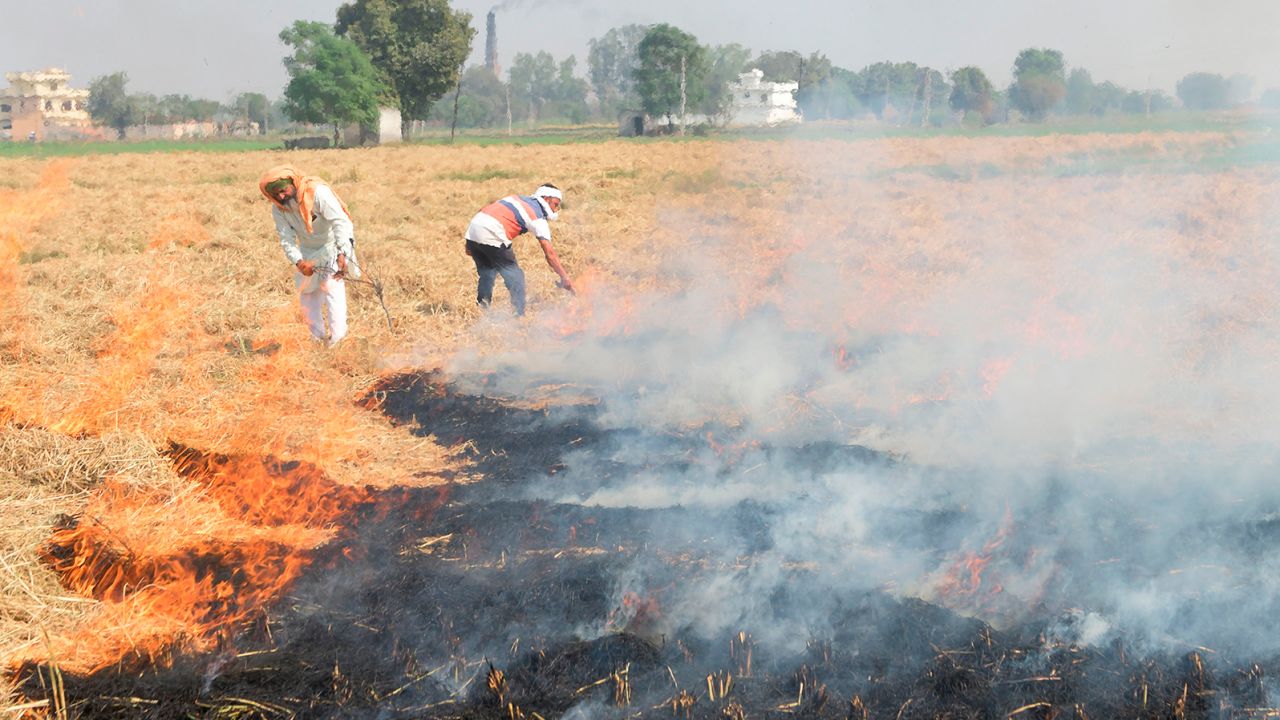 Indian farmers burn straw stubble on the outskirts of Amritsar on October 17.