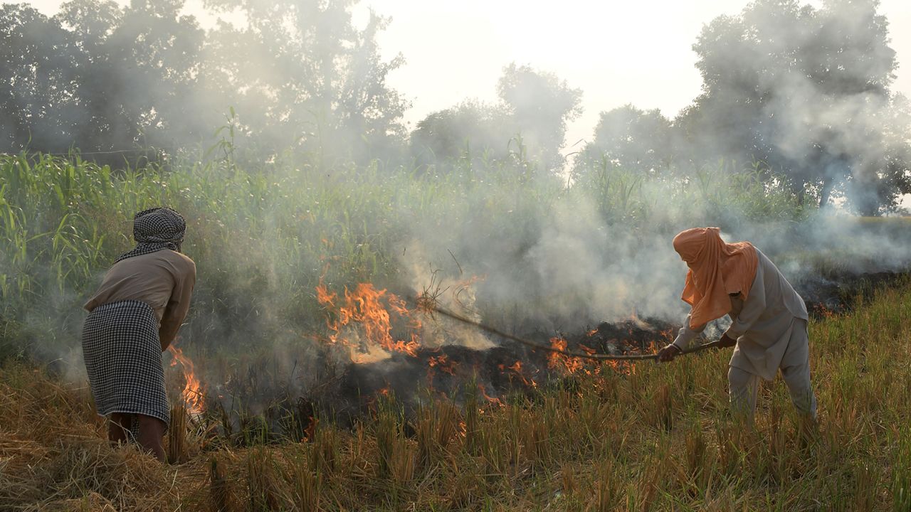 Farmers conducting stubble burning in a paddy field in Amritsar, India, on October 18.