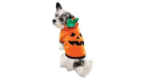 Bootique Jack O' Lantern Dog Hoodie